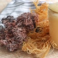 All You Need to Know About Sea Moss Gummy Salad Dressing