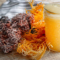 The Ultimate Guide to Organic and Vegan Sea Moss Gummy Options