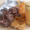 DIY Sea Moss Gummies with Organic Ingredients - A Delicious and Nutritious Treat!